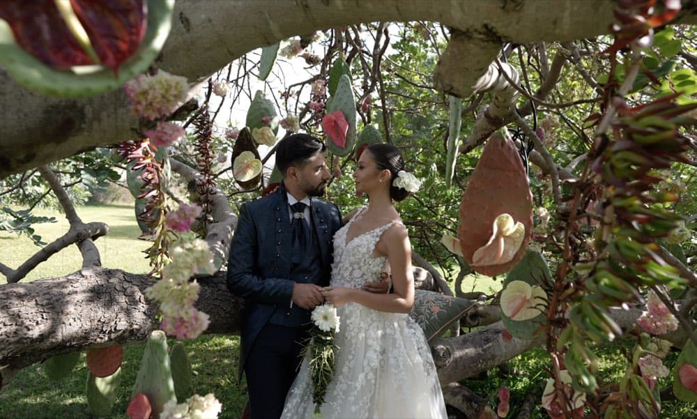 A ceremony beneath an old fig tree, Val di Noto countryside